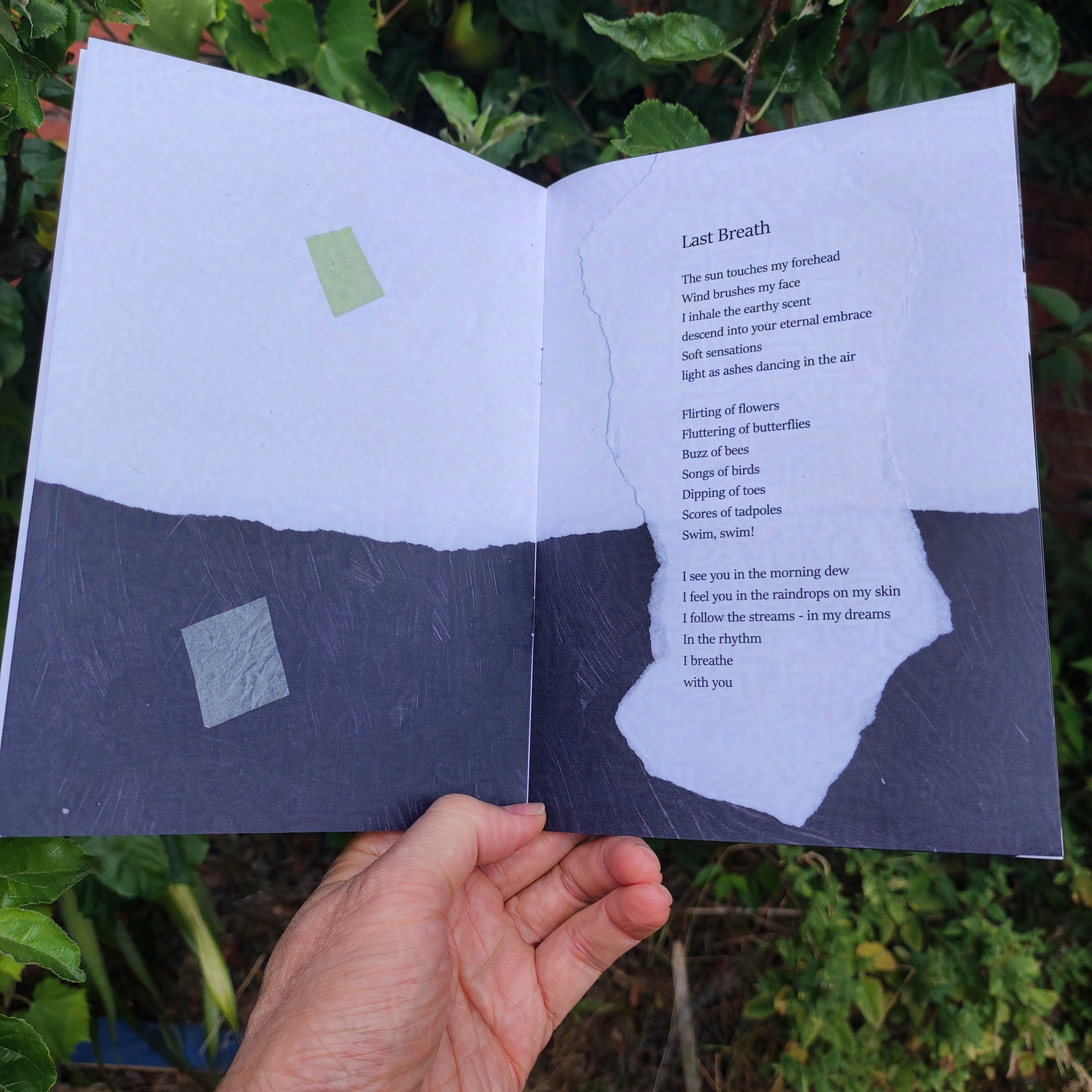 Tree Secrets Zine inside pages - 2