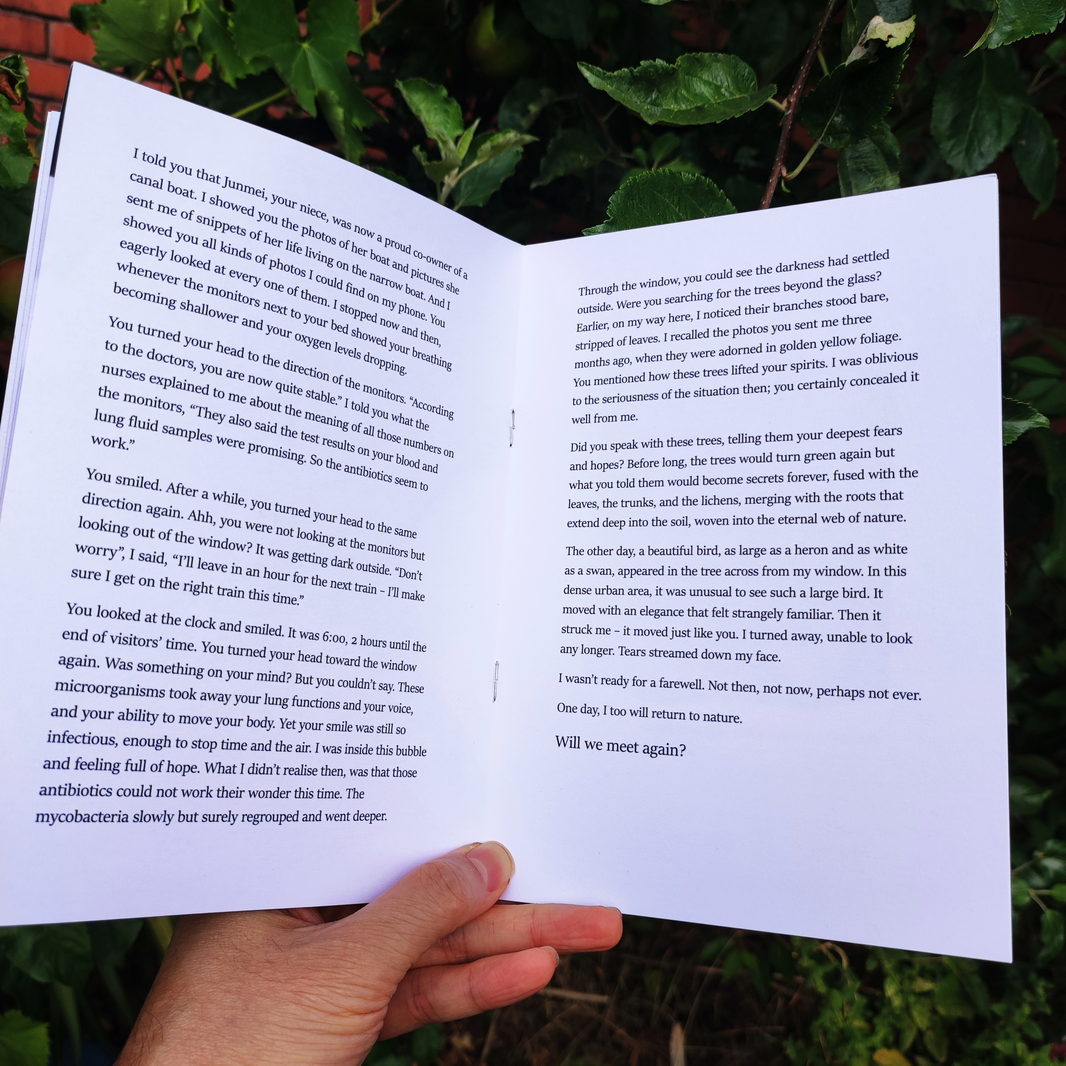 Tree Secrets Zine inside pages - 4