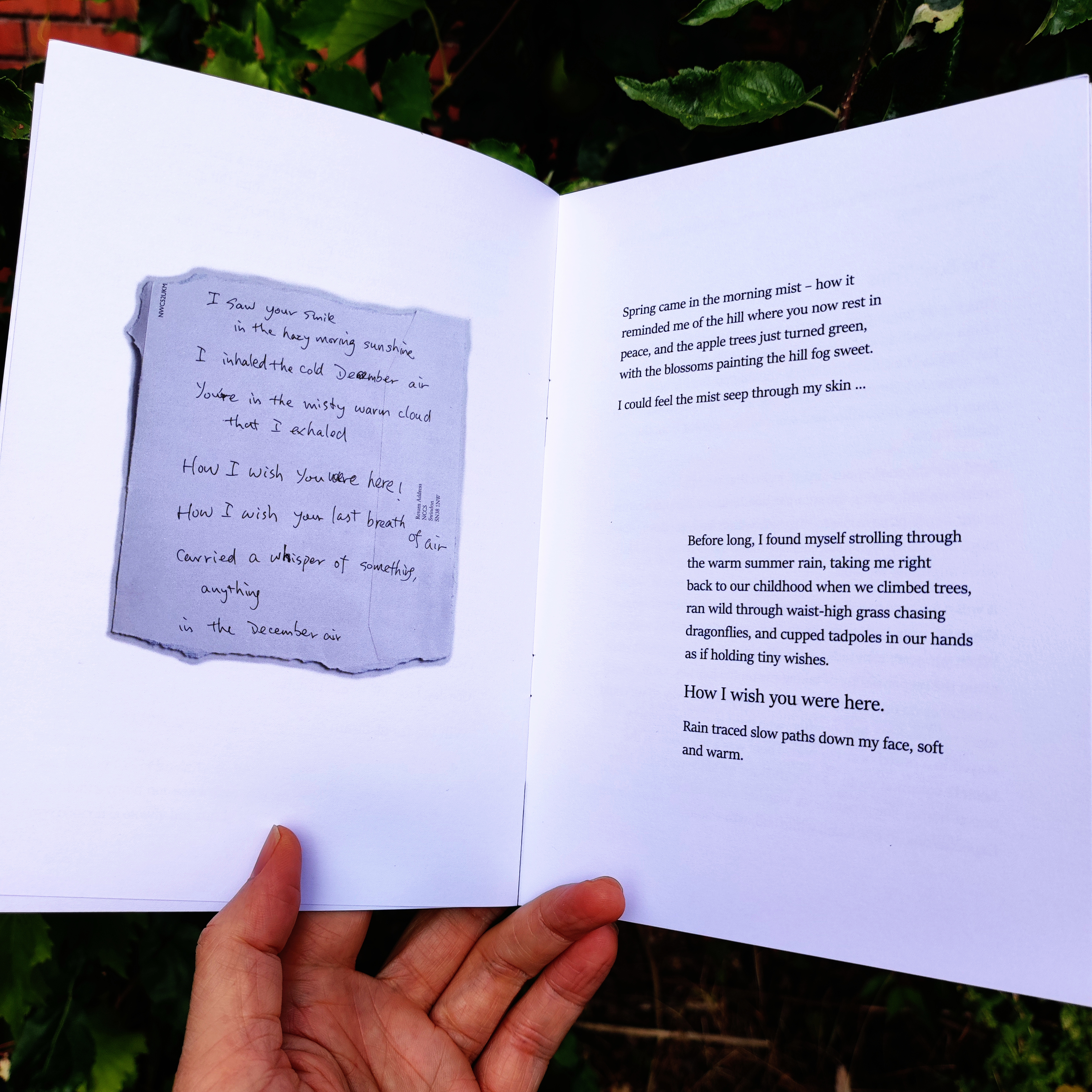 Tree Secrets Zine inside pages - 5