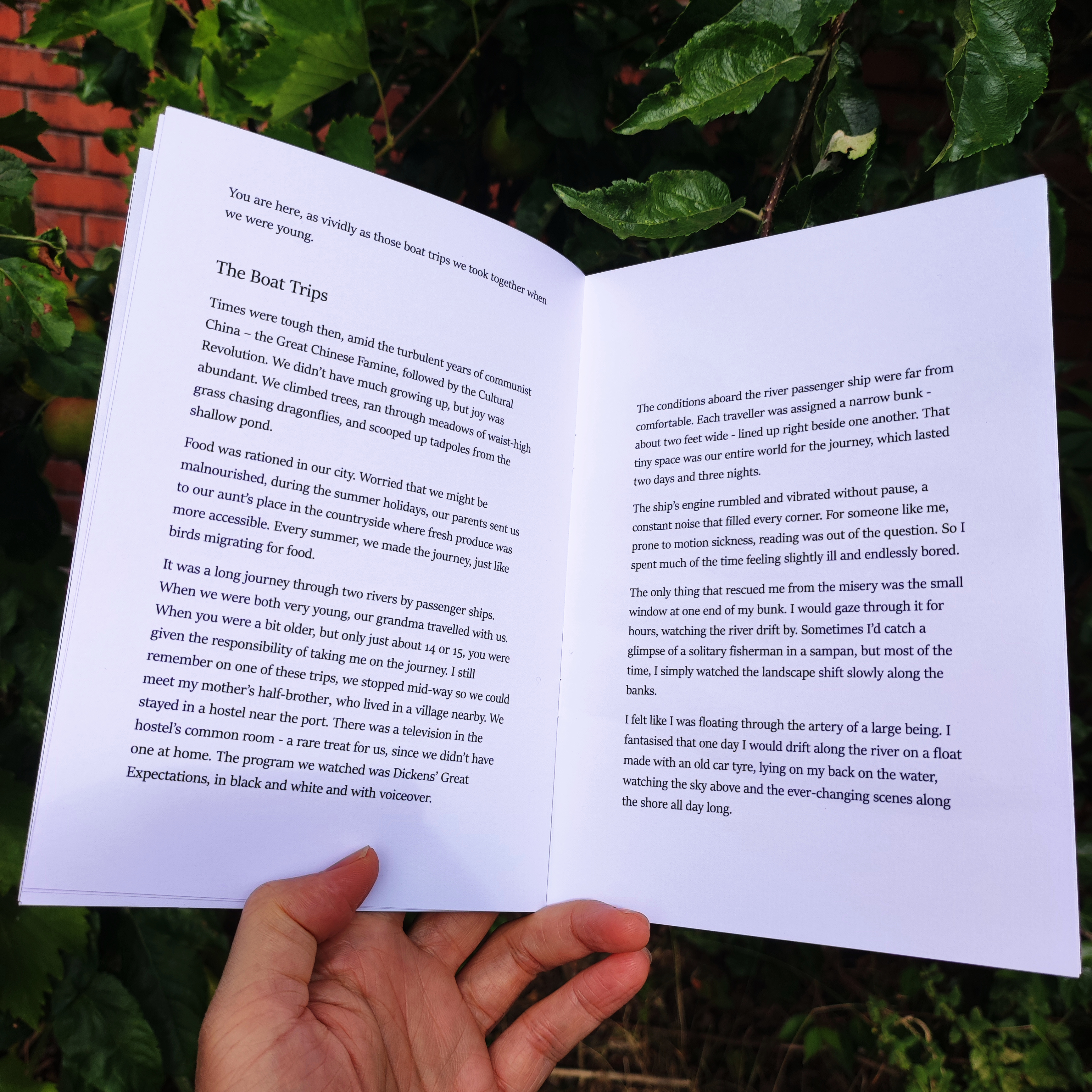 Tree Secrets Zine inside pages - 6