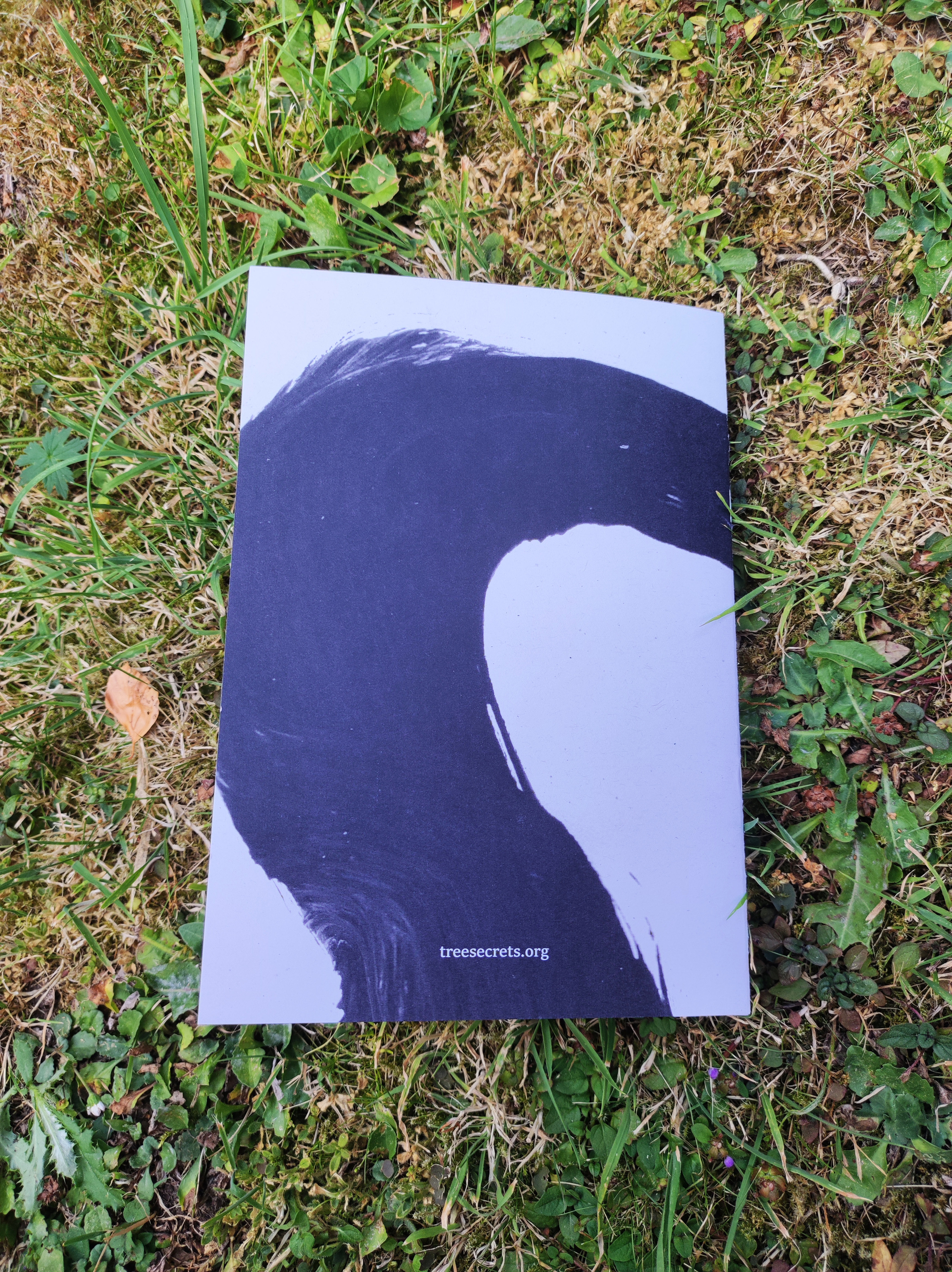 Tree Secrets Zine Back Cover on Grass