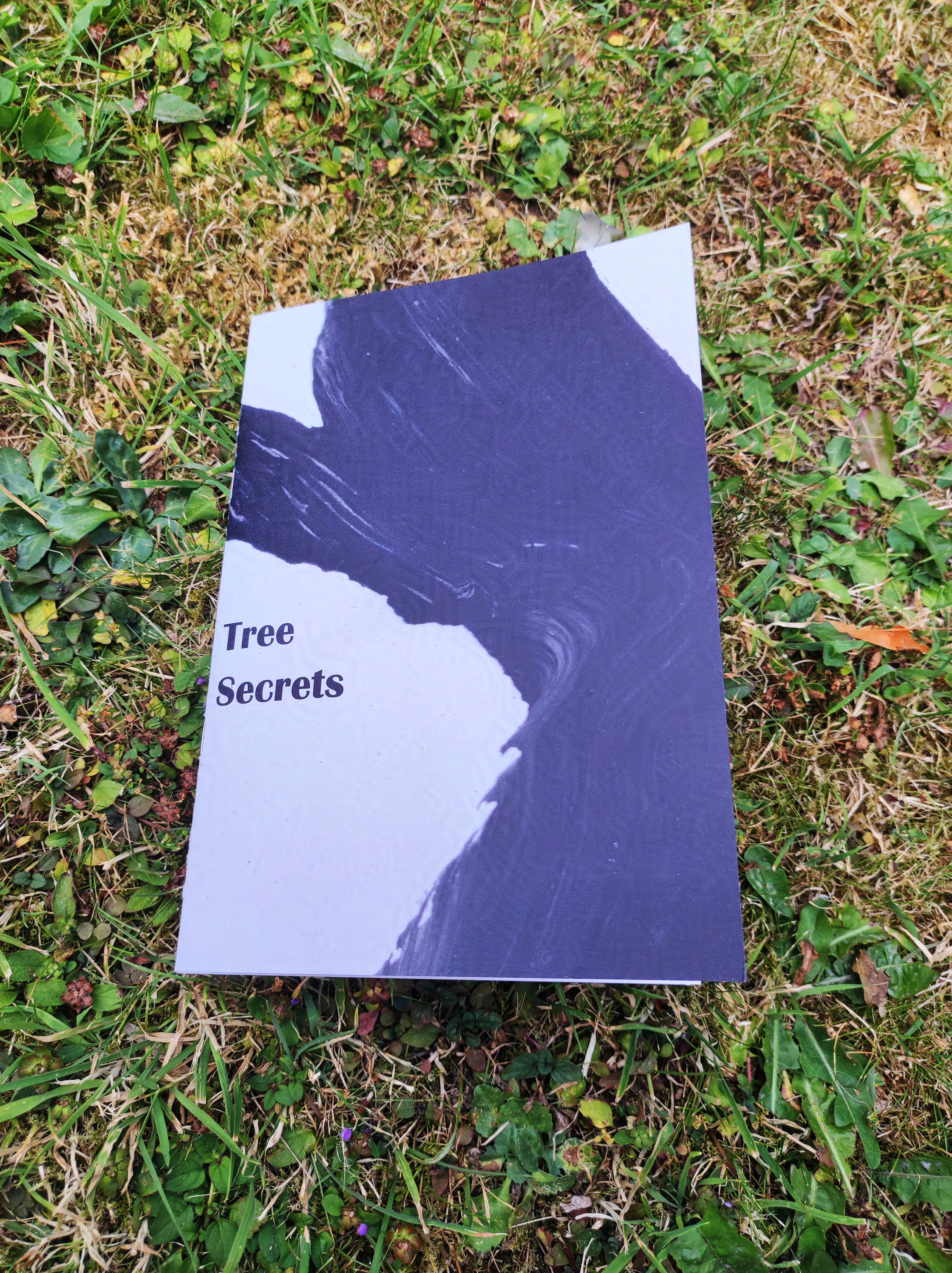 Tree Secrets Zine Front Cover on Grass