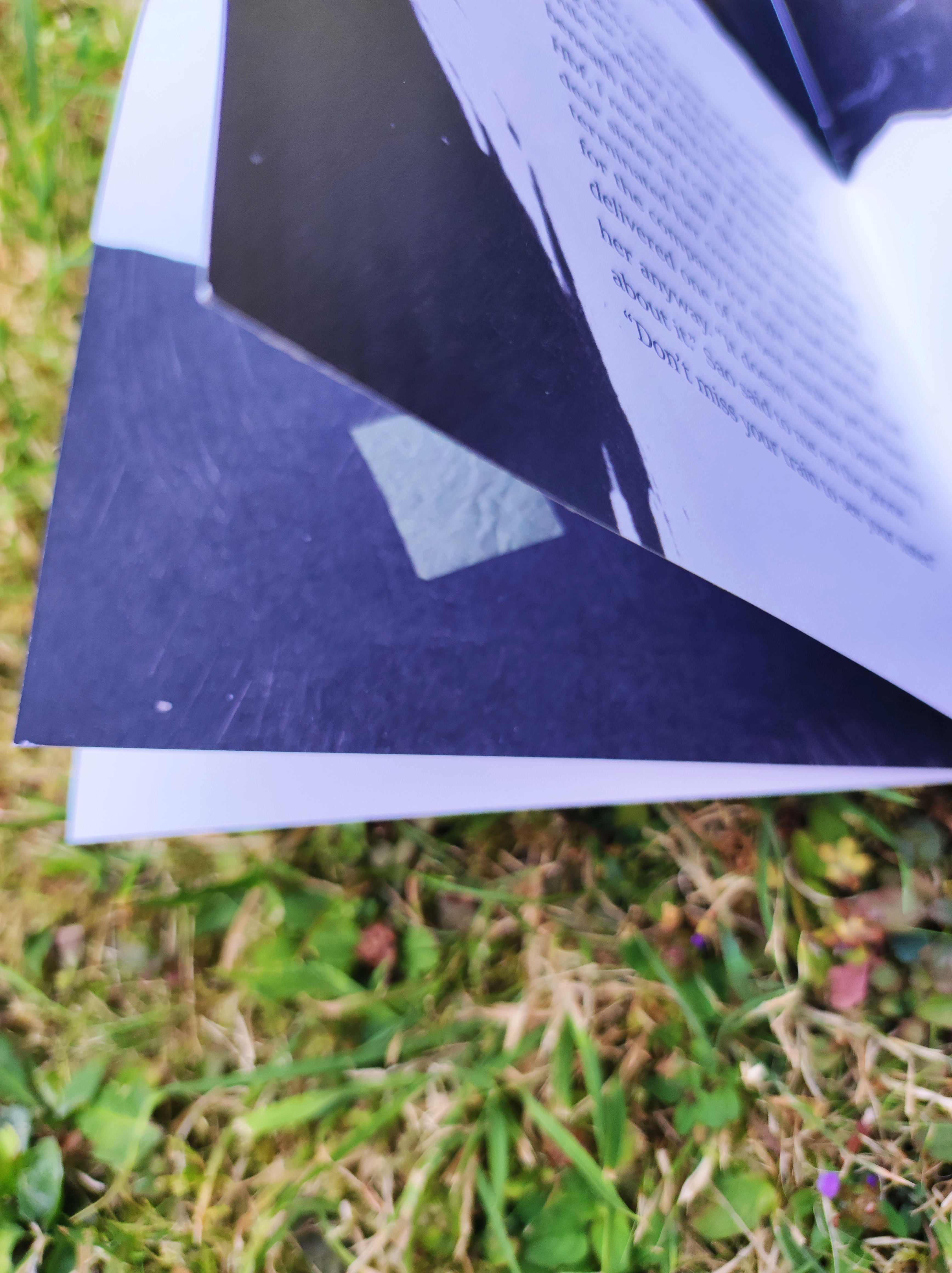 Tree Secrets Zine Page turning on Grass