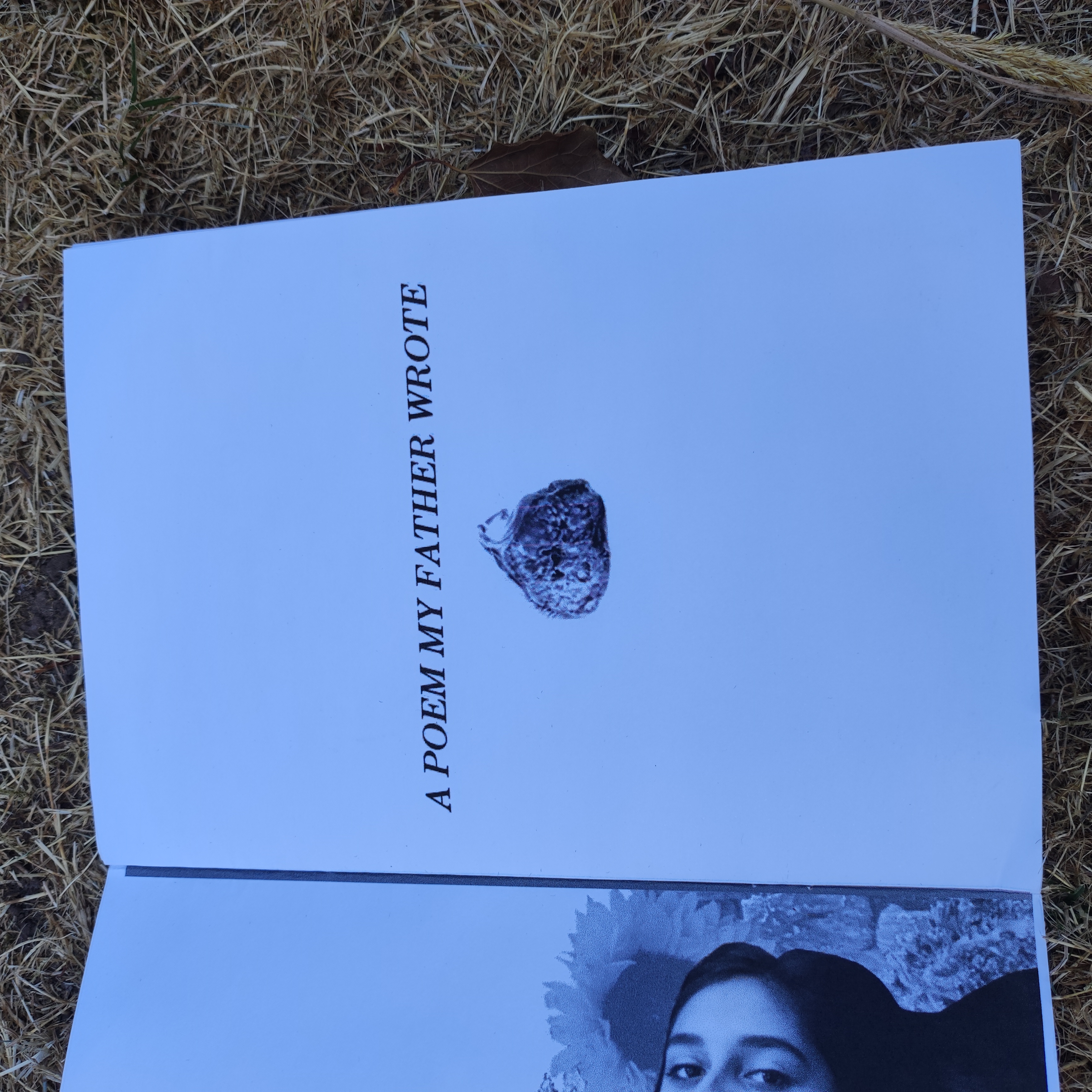 A Poem My Father Wrote - Zine Inside Spread 1