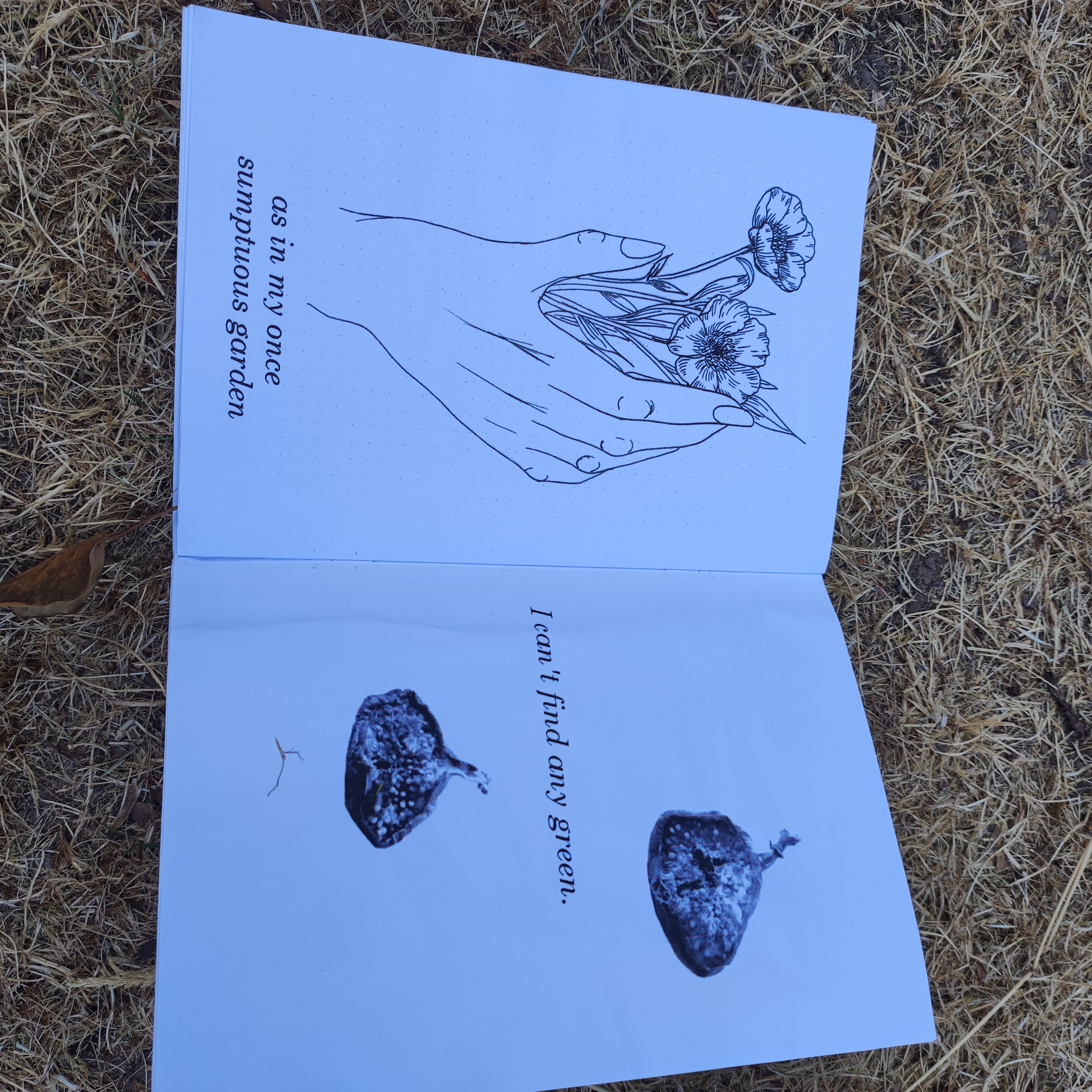 A Poem My Father Wrote - Zine Inside Spread 4